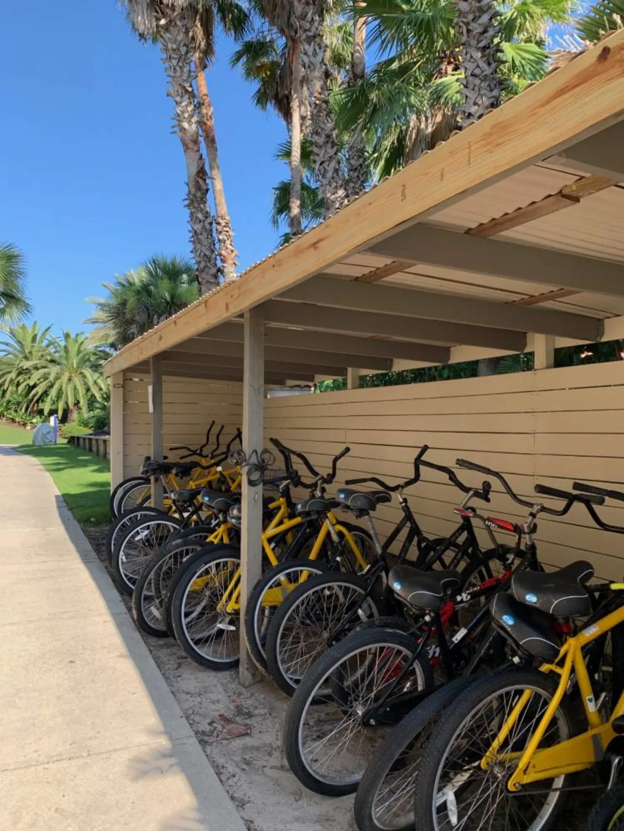 Rental bikes at Ritz Carlton Amelia Island